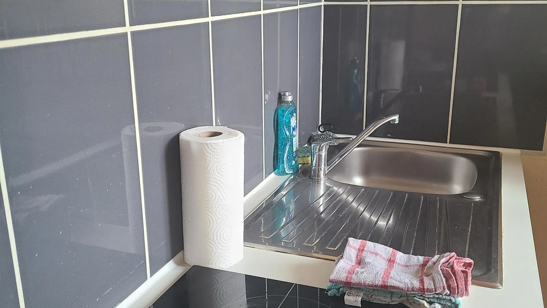 Appartement Pres Du Jardin Des Explorateurs Brest 0*,